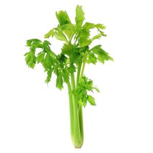 Haricots rouges